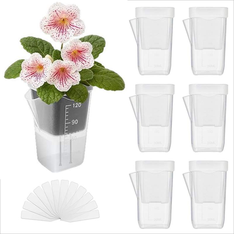 Pothos - Conjunto de 16/32 Vasos Autoirrigáveis –