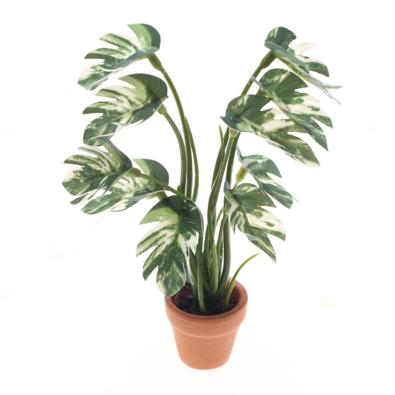 Pothos - Novo. 1PC Planta Verde Monstera em