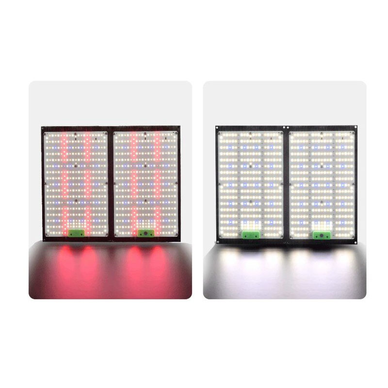 Luz de Cultivo LED Quantum-Boa - Indoor Plants avaliação e preço