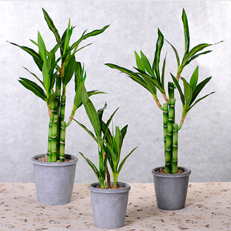 Nova Planta Artificial de Bamb - Snake Plant avaliação e preço