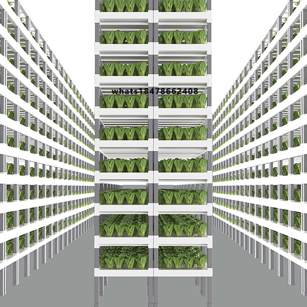 Sistema Hidropônico Inteligent - Indoor Plants avaliação e preço