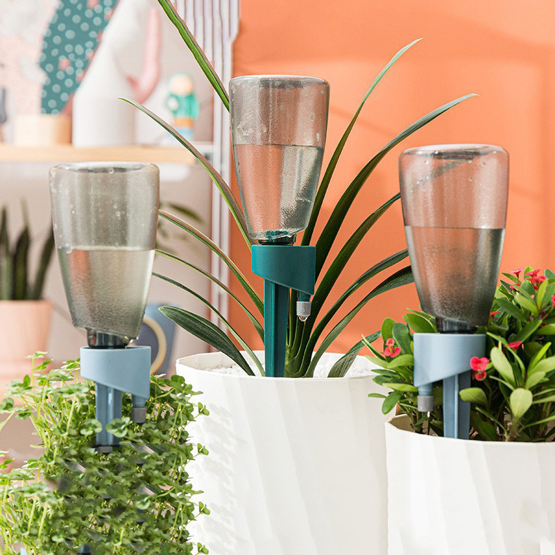 Novo dispositivo automático de - Succulent Set avaliação e preço