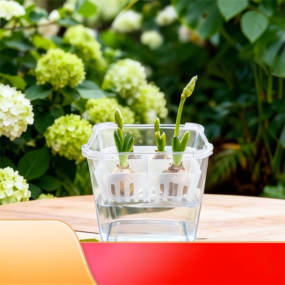 Vaso hidropônico para tulipas  - Indoor Plants avaliação e preço