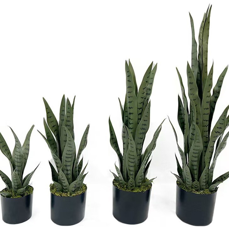 Planta Artificial Sansevieria  - Fiddle Leaf Fig avaliação e preço