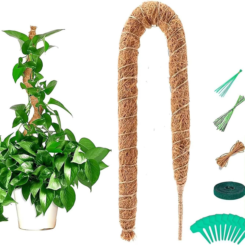 Suporte para Plantas em Vaso d - Pothos avaliação e preço