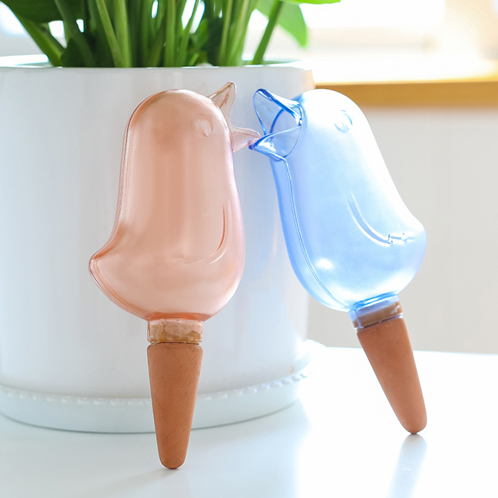 Sistema automático de irrigaçã - Pothos avaliação e preço