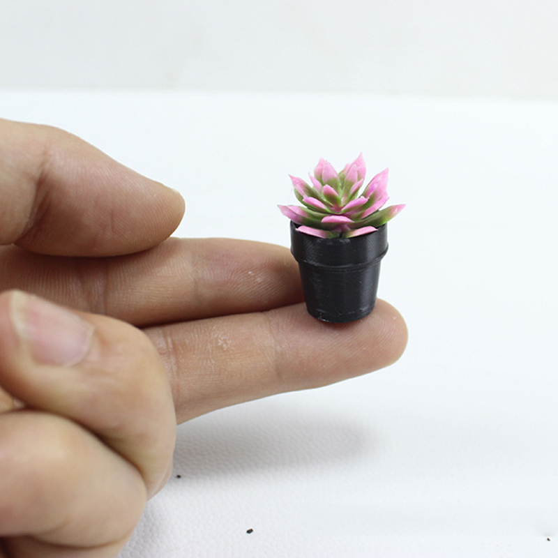 8 Peças de Plantas em Vasos de - Succulent Set avaliação e preço