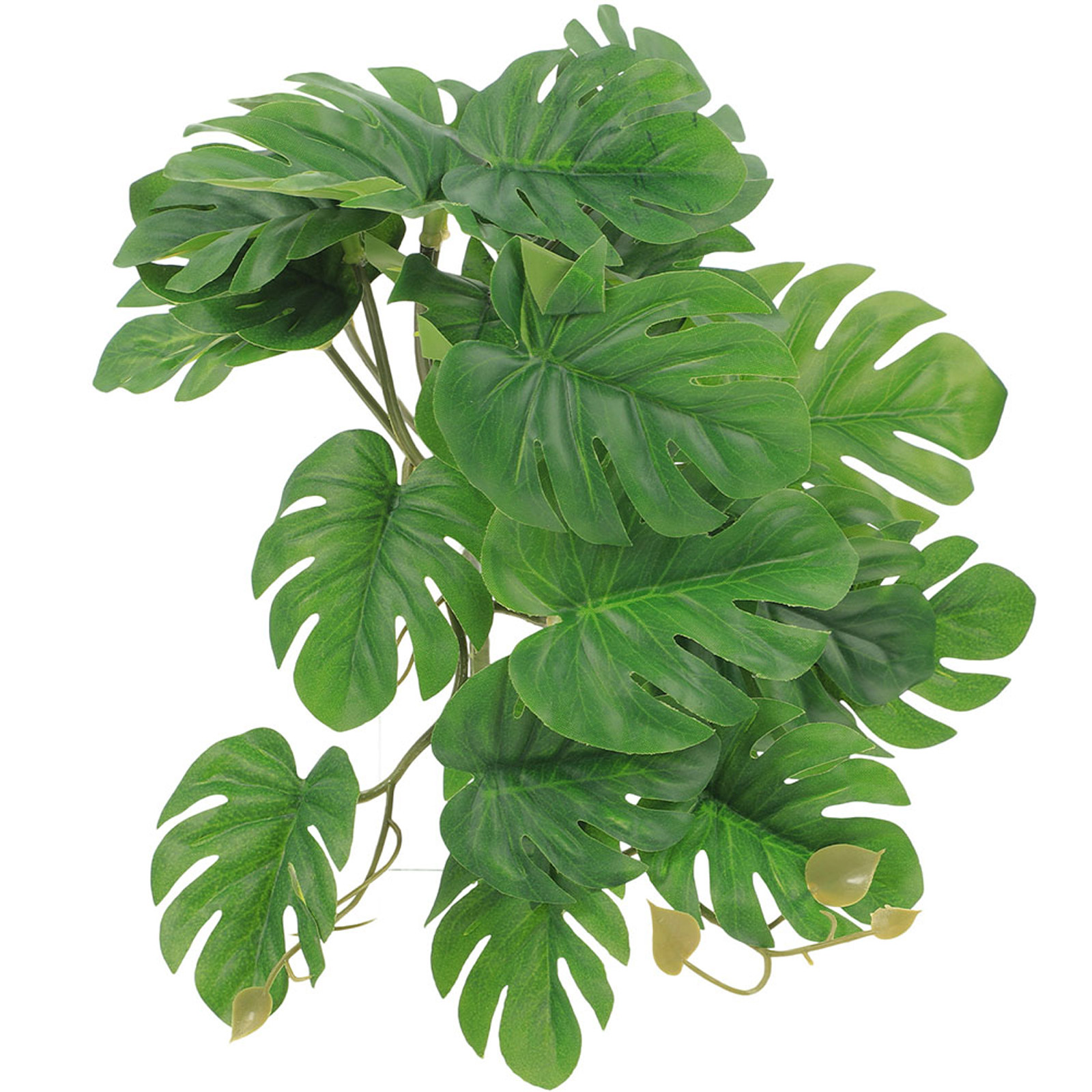 Planta artificial suspensa par - Snake Plant avaliação e preço
