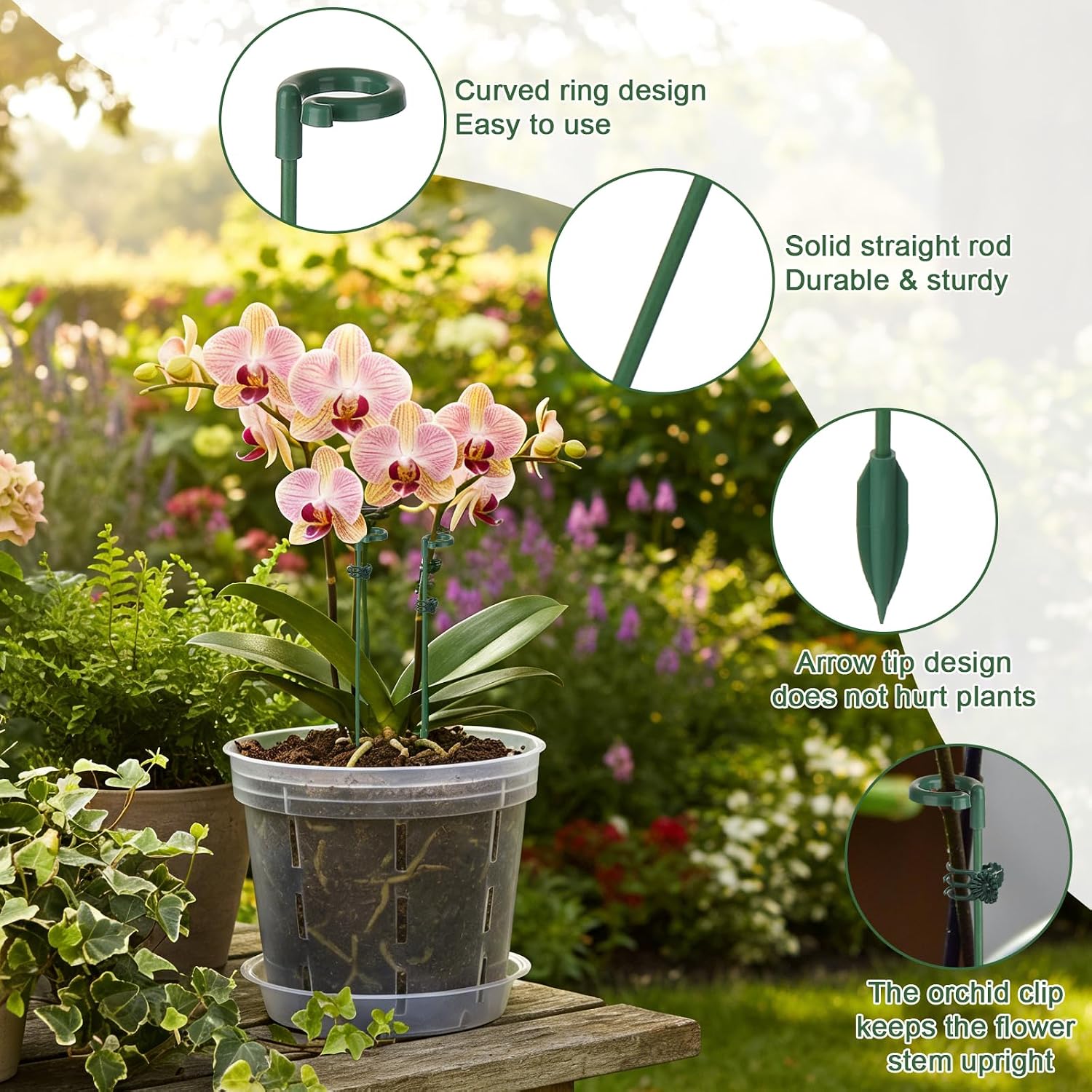 Suportes para Plantas em Vaso  - Succulent Set avaliação e preço