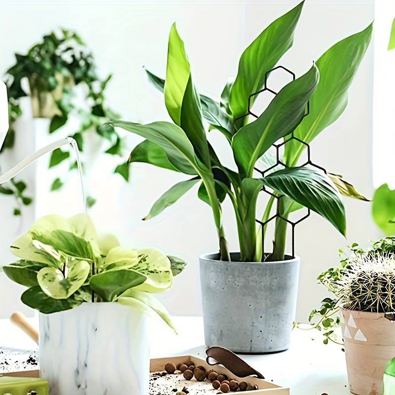 1PC Treliça para Plantas com D - Pothos avaliação e preço