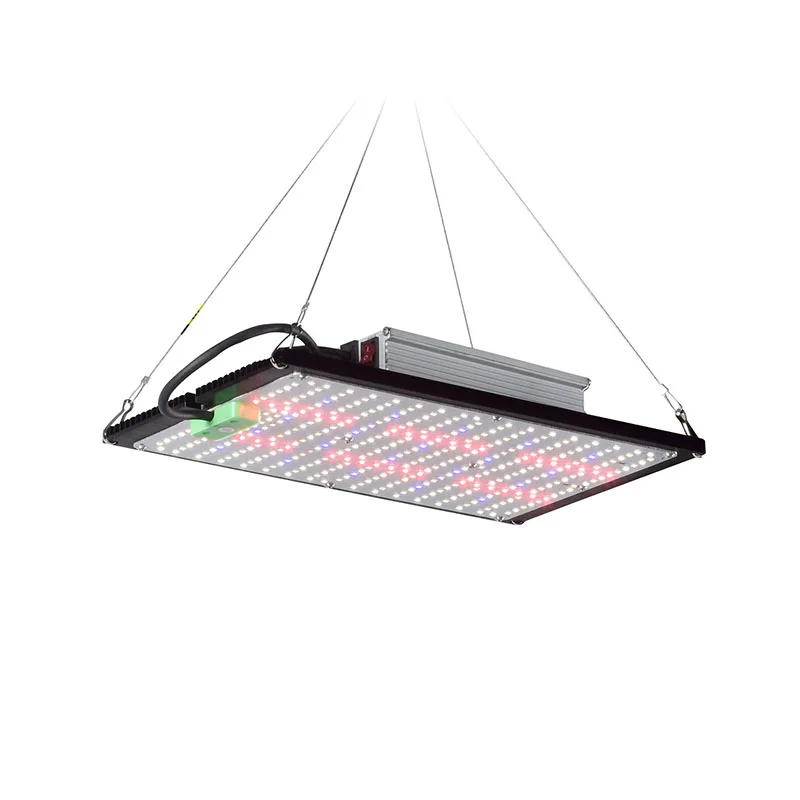 Luz de Cultivo LED Quantum-Boa - Indoor Plants avaliação e preço