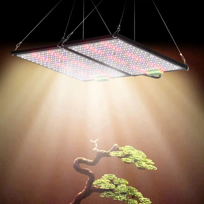 Luz de Cultivo LED Quantum-Boa - Indoor Plants avaliação e preço